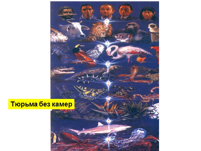 Тюрьма без камер